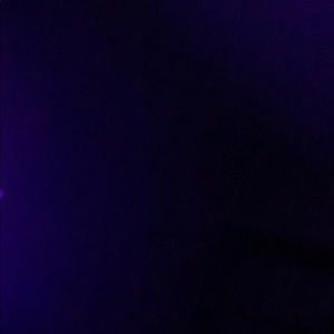 Meet your Posher, Dylan